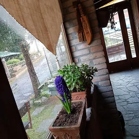 Le Stanze Sul Po Отель типа 